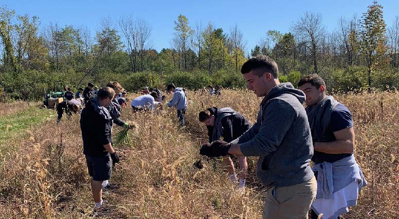 Chi+Psi+brothers+volunteering+at+Patroon+Land+Farm.+Photo+by+Nick+OToole.%0A