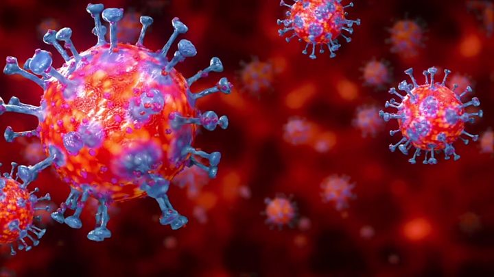 Image of novel Coronavirus, 2019-nCoV
(Source: BBC News)