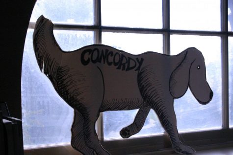 Concordy dog in the Concordy office.