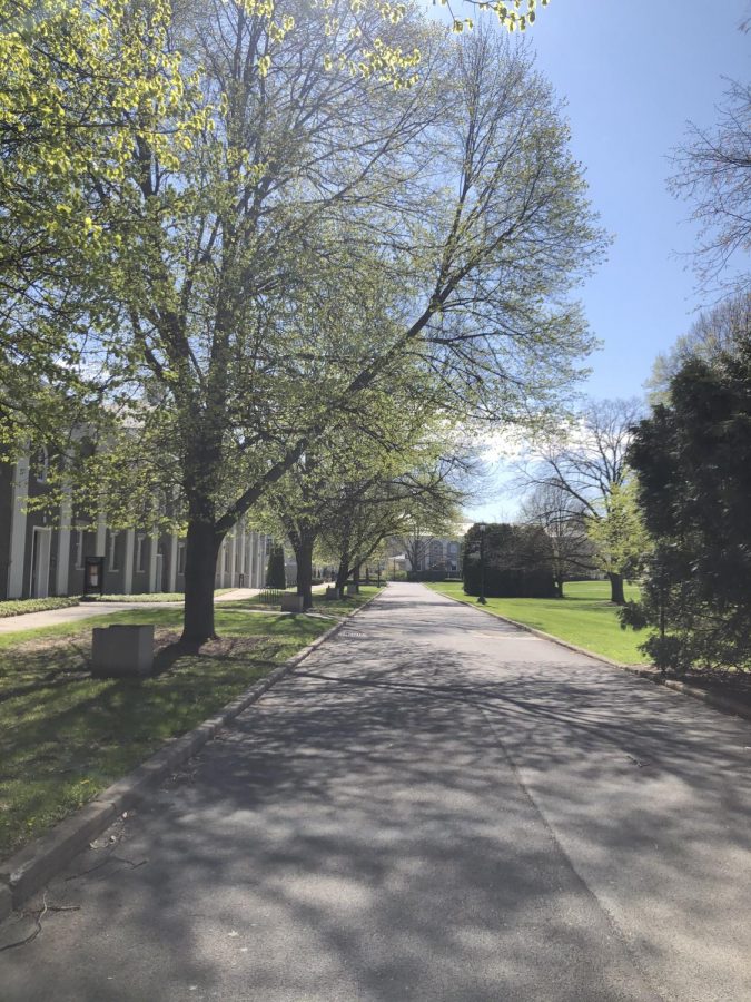 A view of the empty street on campus next to the Nott memorial.