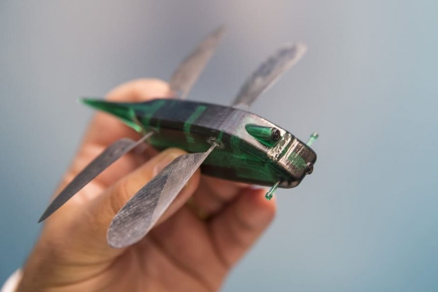 Robotic insect drones being developed for multiple purposes