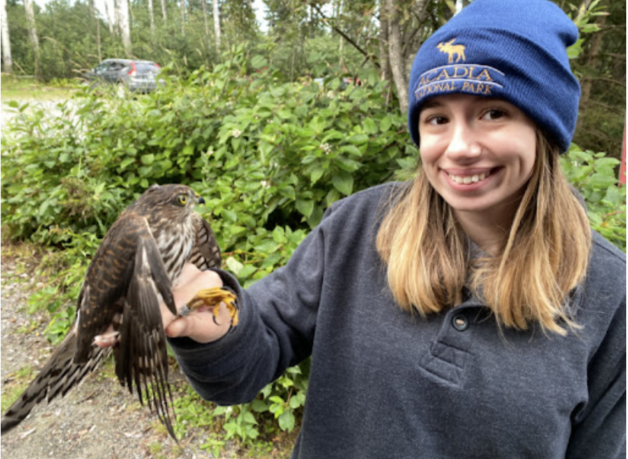 Gabby Basil ‘22 with a Sharp-shinned Hawk (Accipiter striatus)