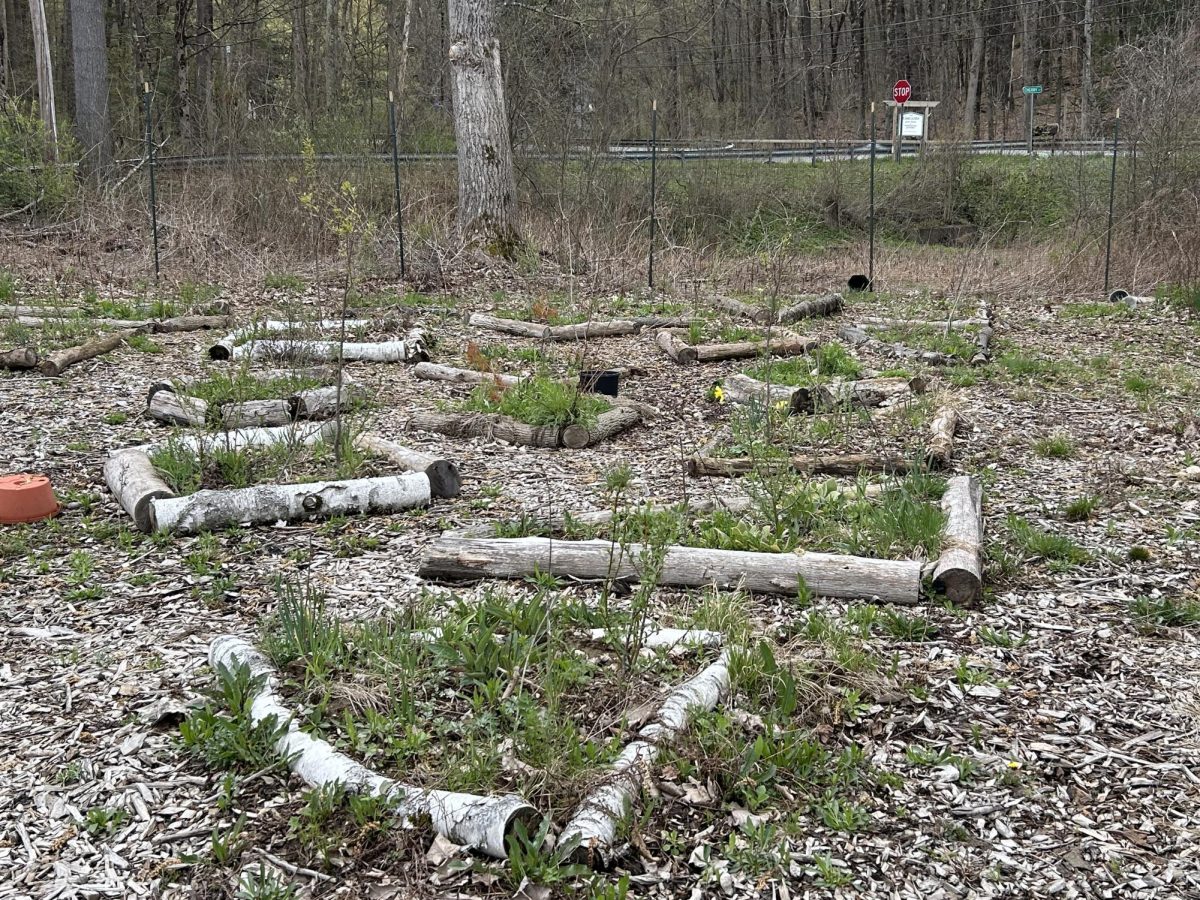 Students on the Permaculture trip saw examples of sustainable farming practices while at CREED.