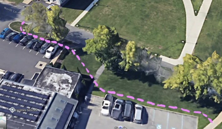 Several of the trees on North Lane and an alternative path proposed by Goldner.