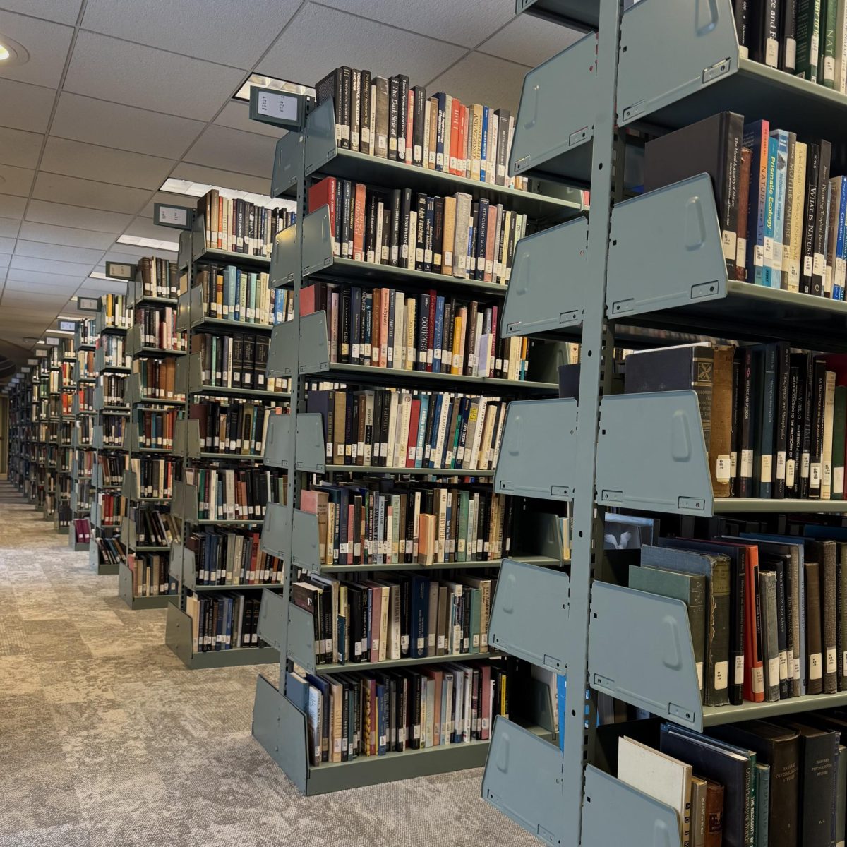 Rows of Schaffer Library book shelves. 
