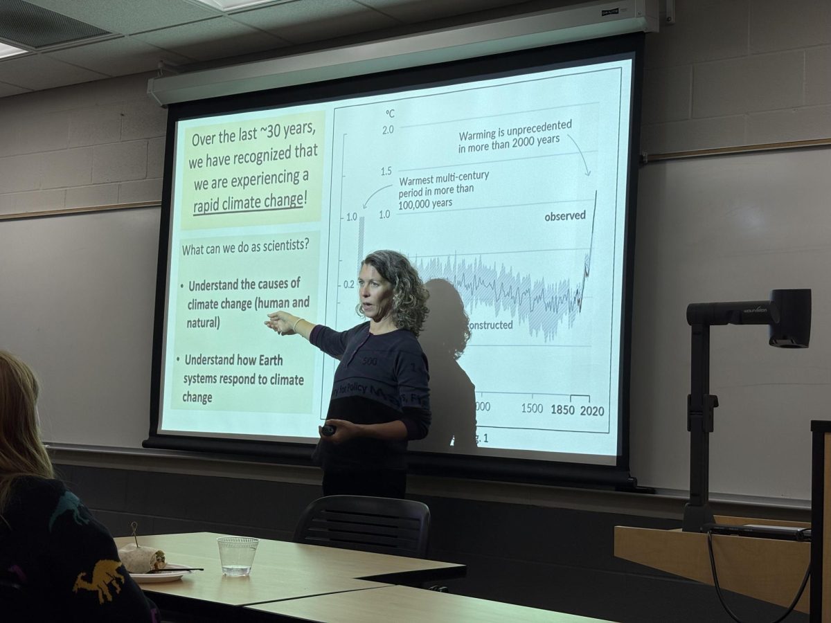 Professor Meredith A. Kelly from Dartmouth College delivers her talk on tropical high-altitude climate conditions, hosted by the Geosciences Department at Union College
