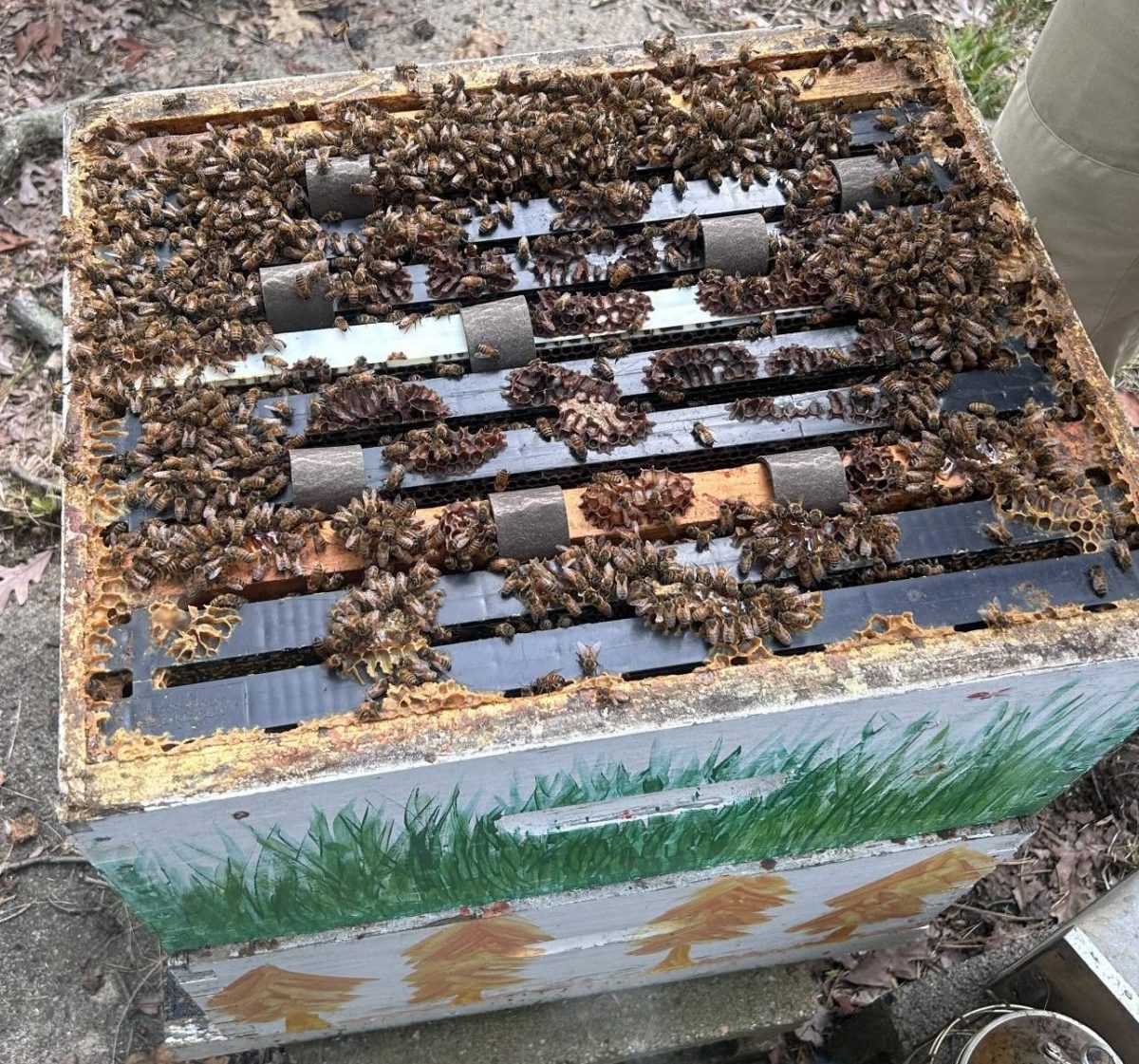One of the boxes making up Union's on-campus beehives