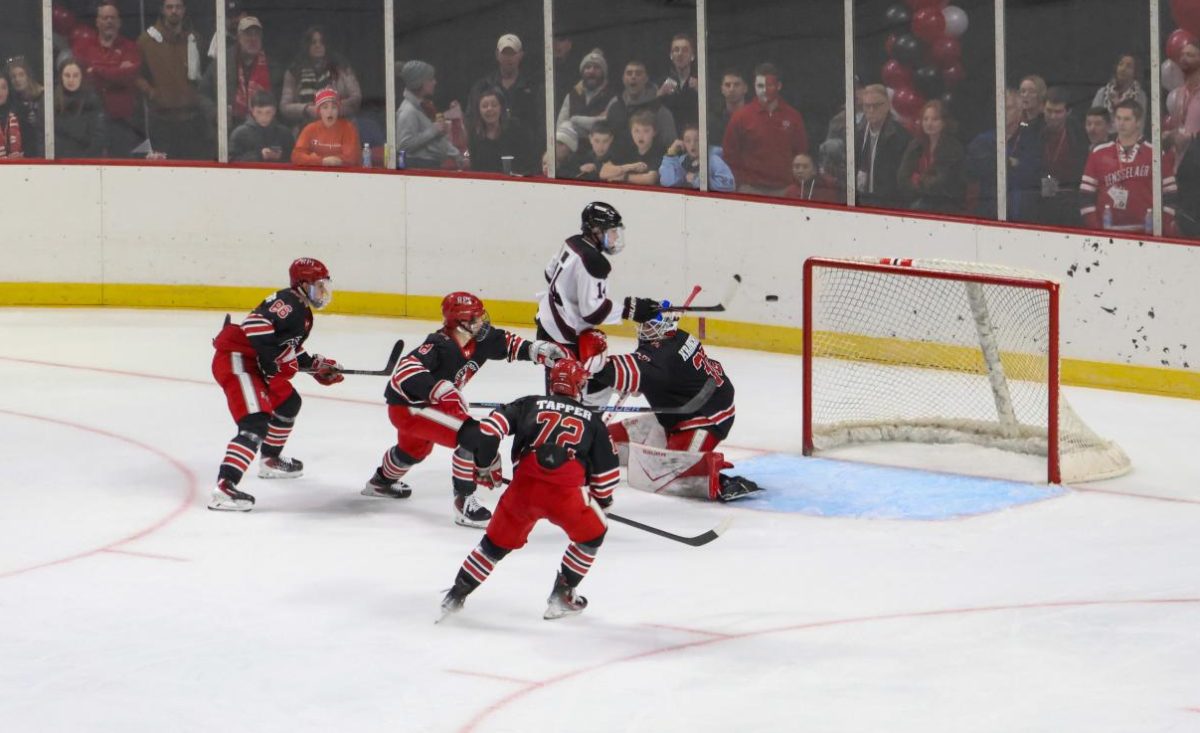 Brandon Buhr bats the puck into the net for the game-winning goal in overtime.