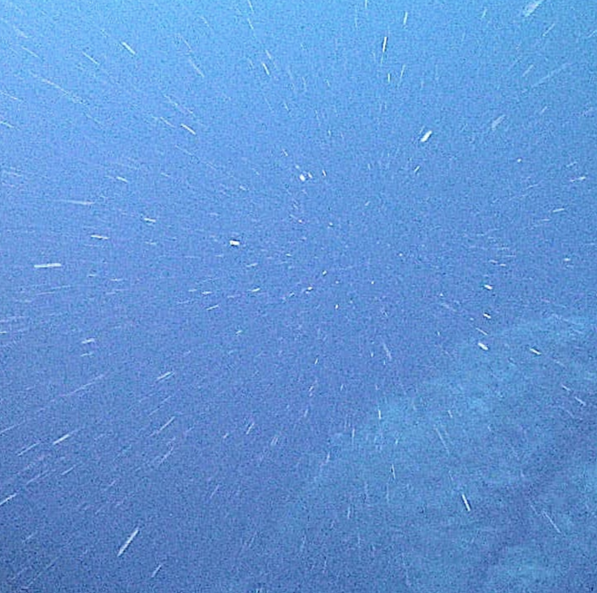 Marine snow falling from upper waters to the deep ocean
