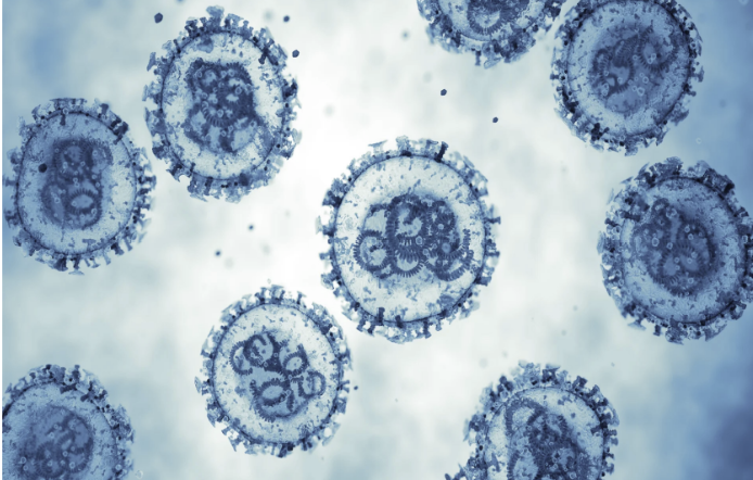 Images of how the hantavirus appears under the microscope.